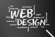 Who’s The Best Web Design Company in Tampa Florida
